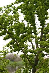 110 ����������� ������.JPG