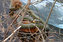 140 ����.JPG