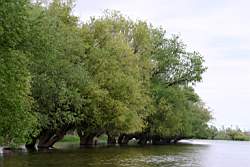 147 ������� 1.JPG