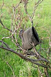 206 �������� ����.JPG