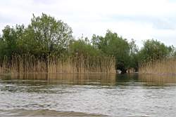 238 ������� 4.JPG