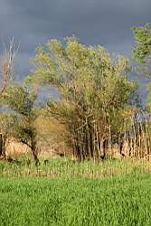 252 ����������� ����� 2.JPG