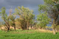 256 ����������� ����� 3.JPG