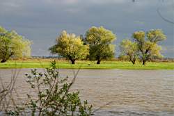 257 ����������� ����� 4.JPG