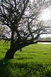 260 ������� 7.JPG