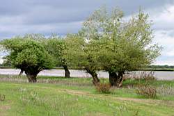 271 ������� 8.JPG