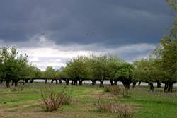 276 ������� 10.JPG