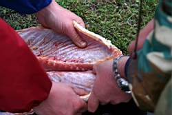 319 � ����� ��������.JPG