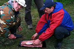 321 ������� ������.JPG