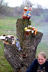 344 �� ������ �������.JPG