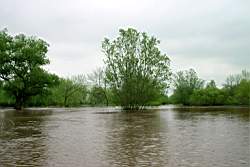 353 ������� 12.JPG