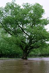 356 ������� 14.JPG