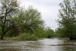 358 ������� 15.JPG