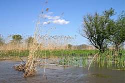 362 � ������ ����������� ����.JPG