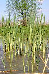 363 �����.JPG