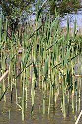 365 ������ ���� �����.JPG