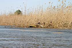 370 �����������.JPG