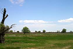 394 ������� 16.JPG