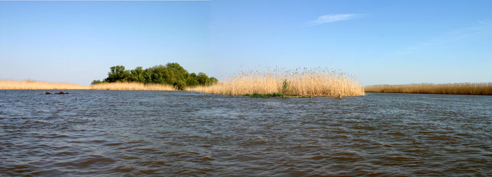 �������� 2